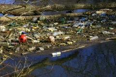 Angeschwemmter Müll in der Moosach 2008